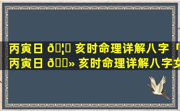 丙寅日 🦈 亥时命理详解八字「丙寅日 🌻 亥时命理详解八字女命」